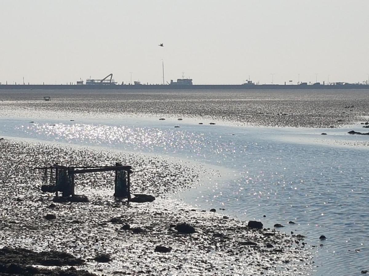 Ameland Tentenverhuur Nes  Buitenkant foto