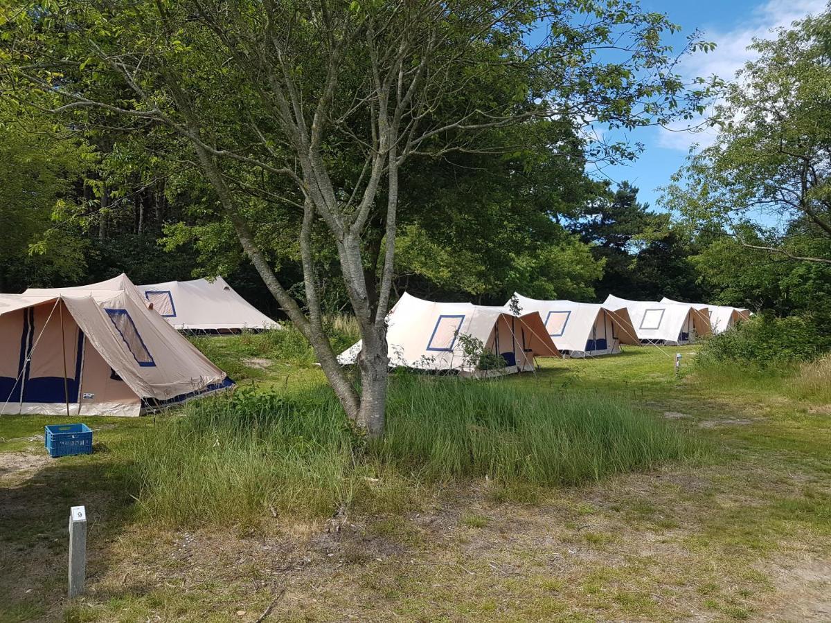 Ameland Tentenverhuur Nes  Buitenkant foto